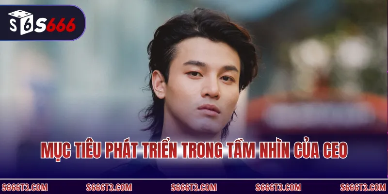 Mục tiêu phát triển trong tầm nhìn của CEO